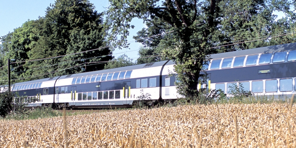 DSB tog der kører i det danske landskab med kornmarker i forgrunden og grønne træer i baggrunden