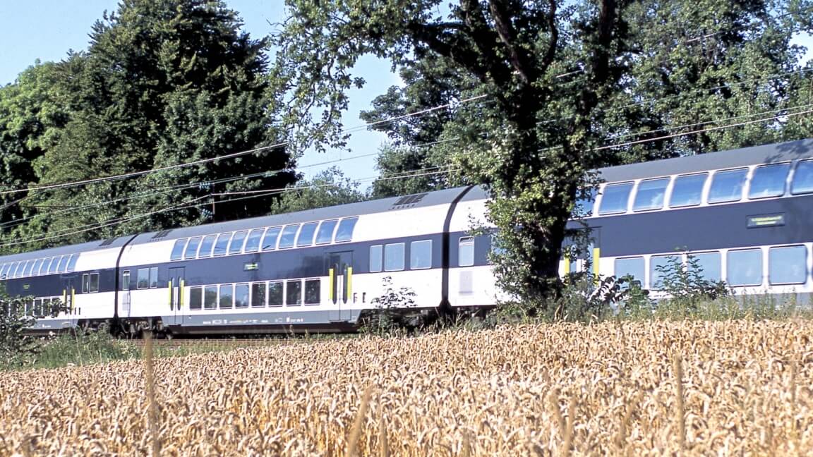 DSB tog der kører i det danske landskab med kornmarker i forgrunden og grønne træer i baggrunden