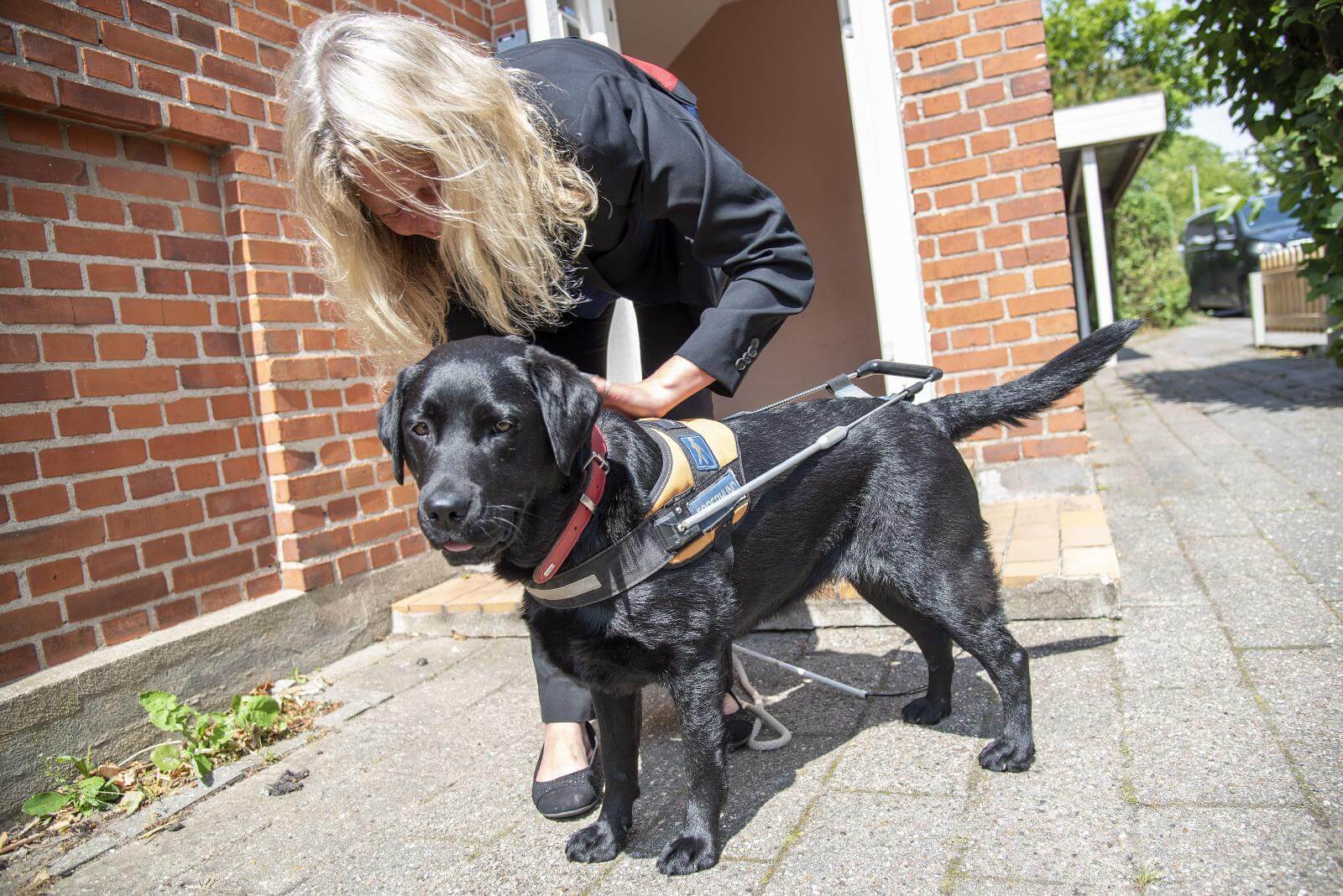 Christel giver Ghita førerhundesele på udenfor huset.