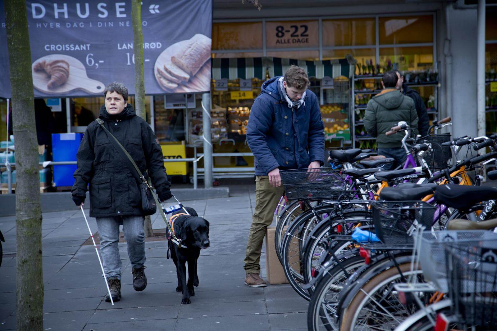 En førerhund og bruger forbi en række parkerede cykler