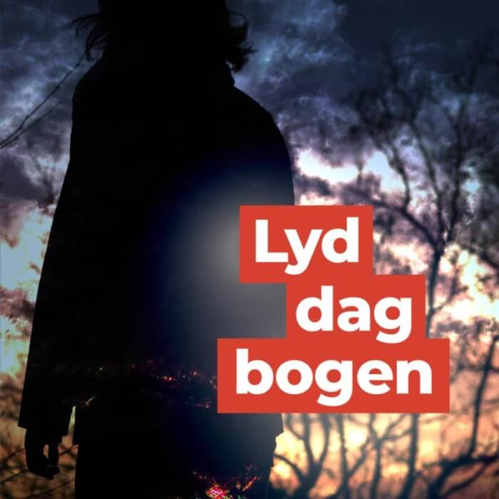 Logo til podcasten Lyddagbogen, som forestiller en kvindeskikkelse bagfra i skumring. Tekst: Lyddagbogen