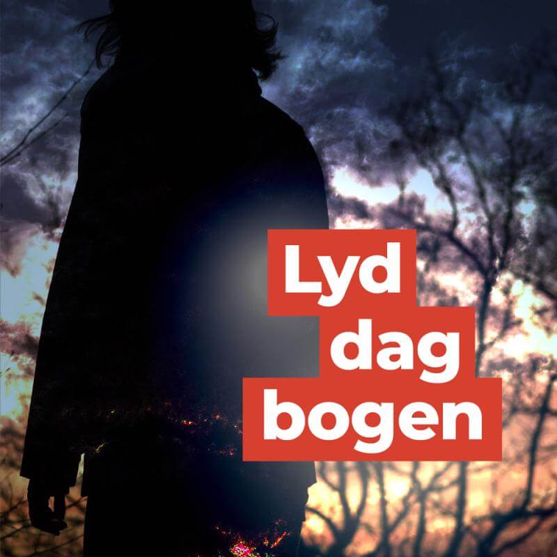 Skumring med mørk og lys baggrund af træer, hvor der også er skikkelsen af et menneske. Tekst: Lyddagbogen