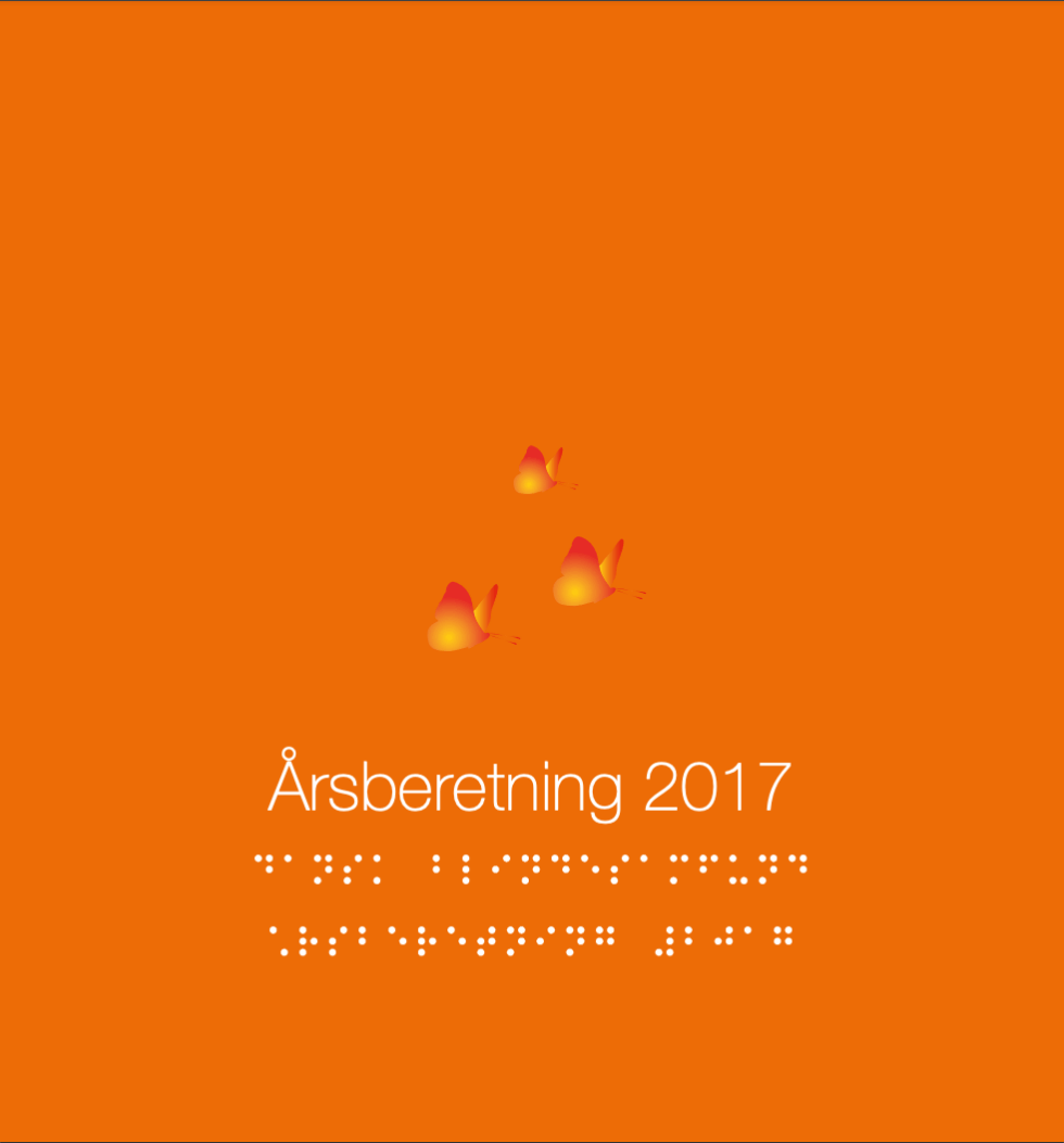 Forsiden af årsberetningen 2017, orange baggrund med logo og punktskrift