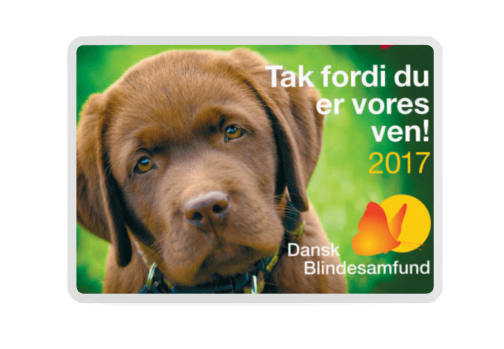Årets magnet 2017 med billede af en brun hundehvalp