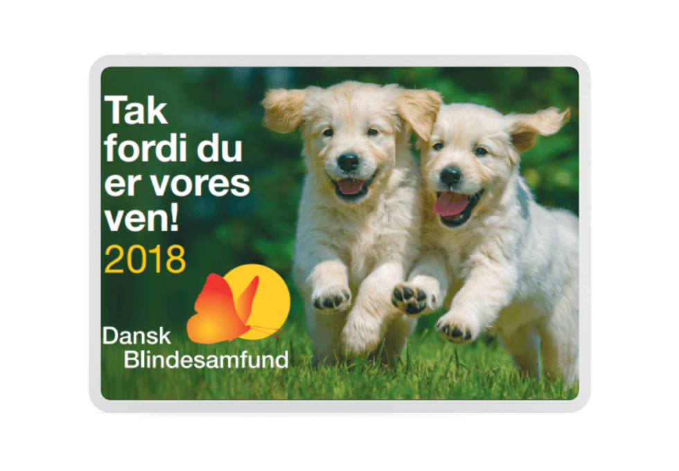Årets magnet 2018 med billede af to gyldne hvalpe, der løber på græs