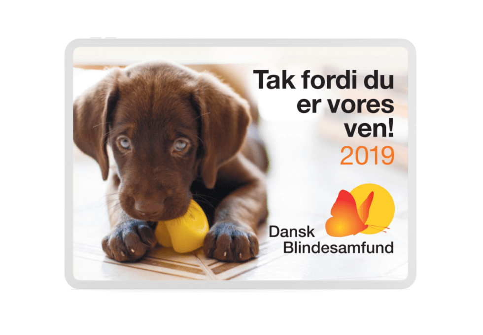 Årets magnet 2019 med foto af en brug hvalp, der tygger i hundelegetøj