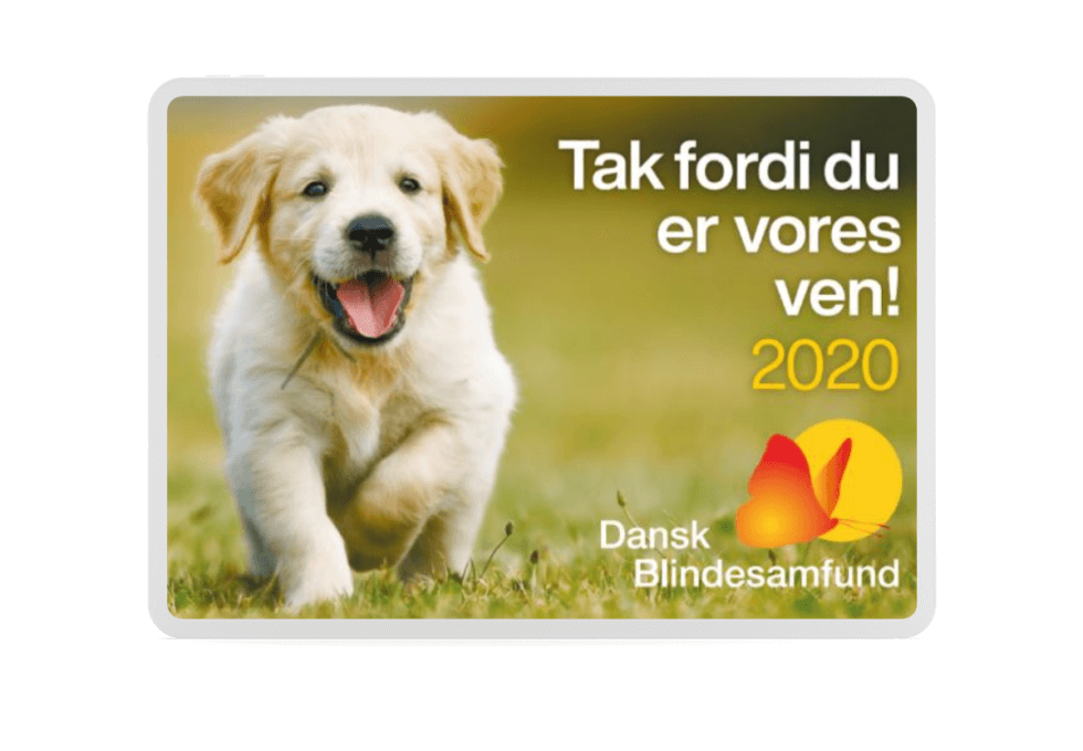 Årets magnet 2020 med foto af en gylden hvalp, der løber på græs mod kameraet