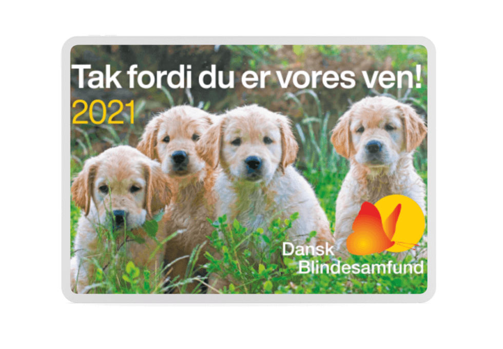 Årets magnet 2021 med foto af fire gyldne hvalpe