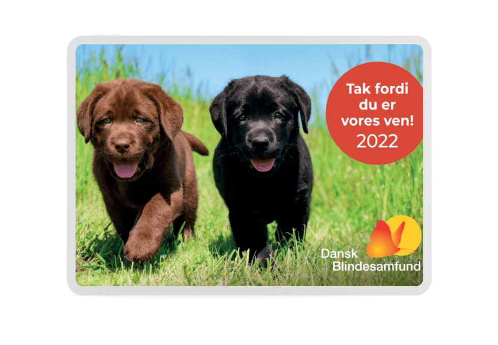 Årets magnet 2022 med foto af en brun og en sort hvalp