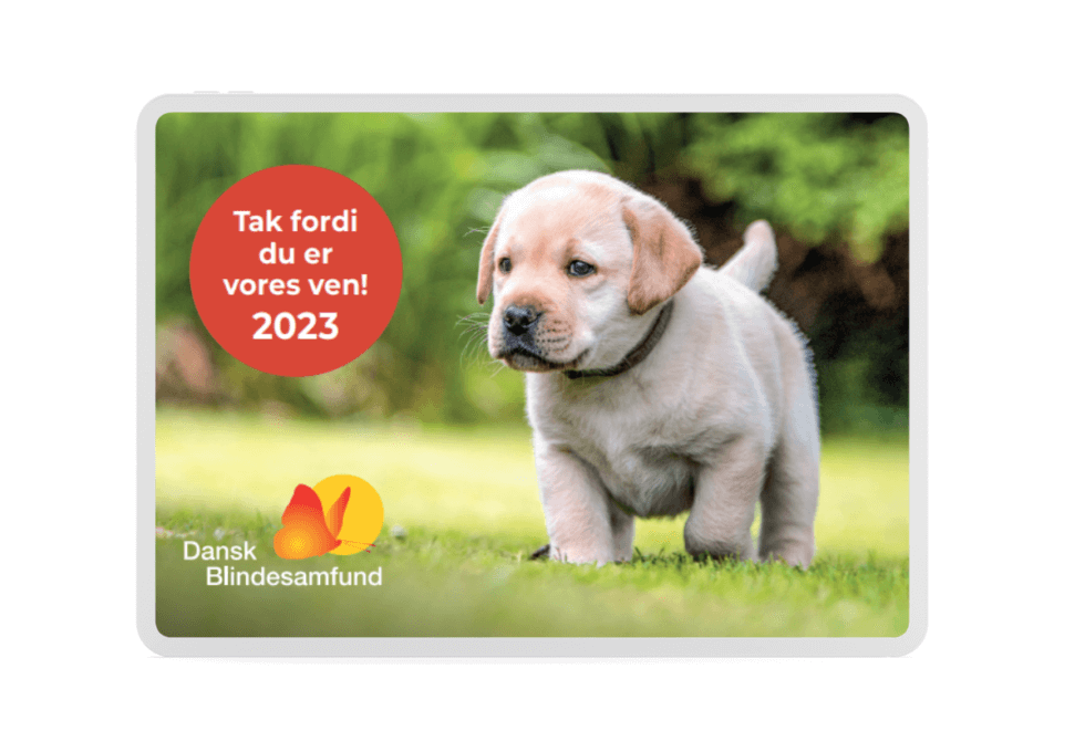 Årets magnet 2023 med en gylden hvalp på græs. Med logo