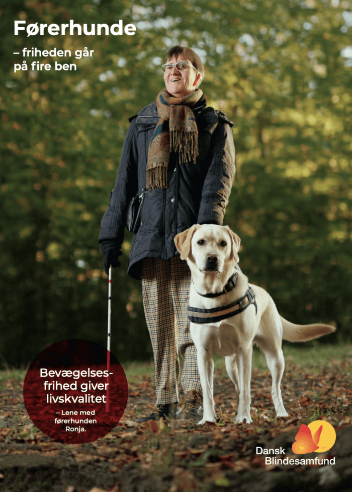 Forside til brochuren om førerhundeordningen