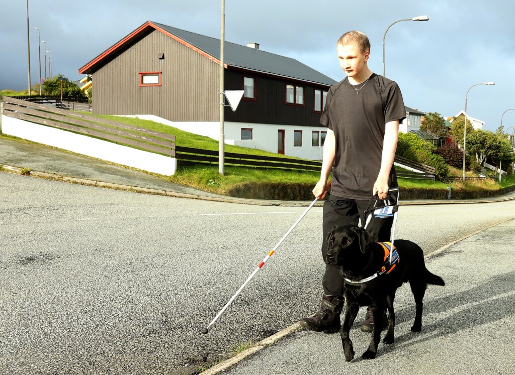 Andrias går med førerhunden Andy på fortovet, en sort labrador