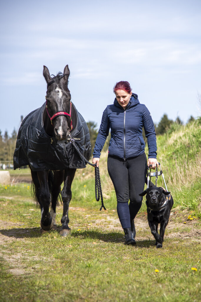 Rikke kommer gående på en eng med hesten Tulle og førerhunden Silke ved siden af, en sort labrador iført førerhundebøjle