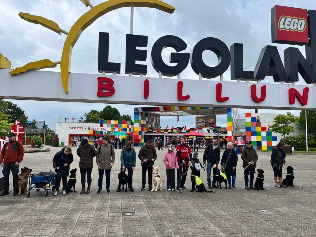 Foderværter, instruktører, førerhundehvalpe og førerhunde er stillet op på række foran indgangen til Legoland