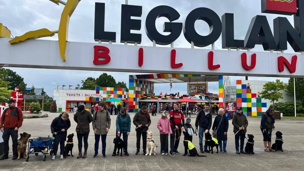 Foderværter, instruktører, førerhundehvalpe og førerhunde er stillet op på række foran indgangen til Legoland