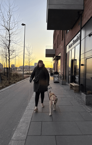 Sophie kommer gående med førerhunden Fellow, en lys labrador, i førerhundebøjle. De følges pænt på fortovet