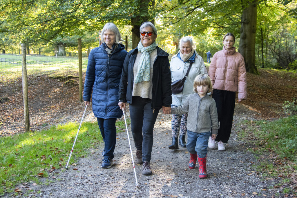 To bedstemødre med stok går i skoven sammen med to børnebørn