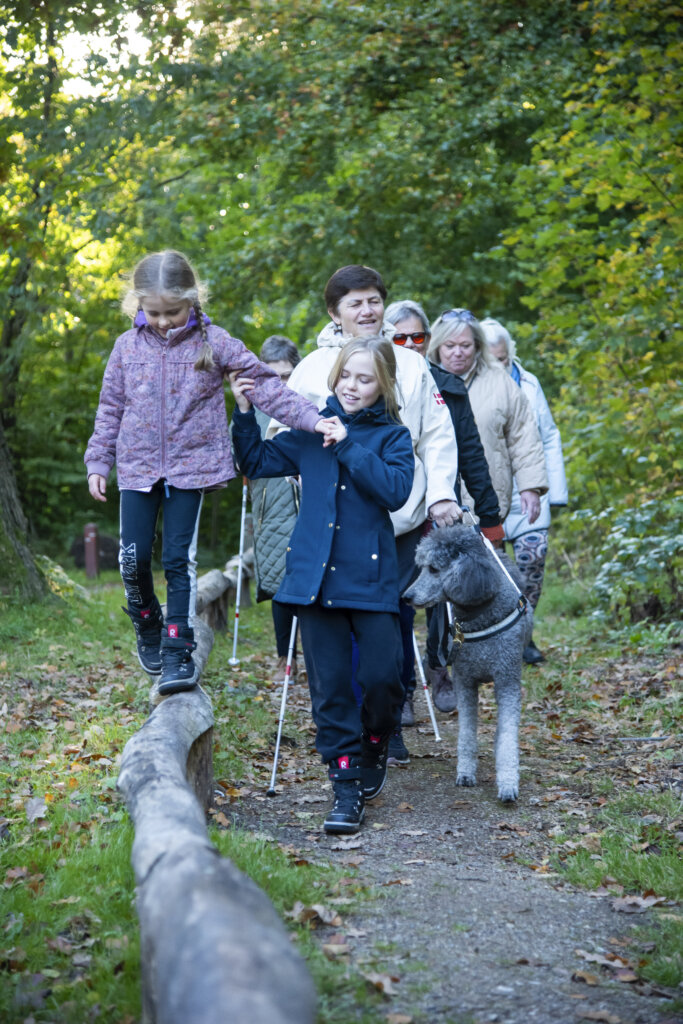 En flok bedsteforældre med blindestok og førerhund går i skoven med deres børnebørn- En pige balancerer på en træstamme