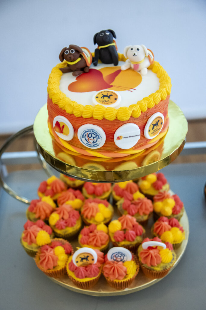 Orange og gul kage med Dansk Blindesamfunds logo og førerhunde af fondant