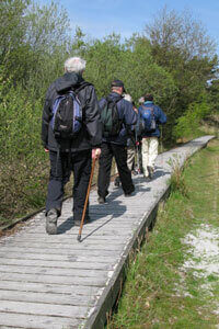 Tilgængelig belægning mod strand. En træbro er etableret oven på sandet. Kanterne på broen kan følges og mærkes med den hvide stok. Plankerne er placeret på tværs af gangretningen, hvilket øger skridsikkerheden, når det bliver glat.