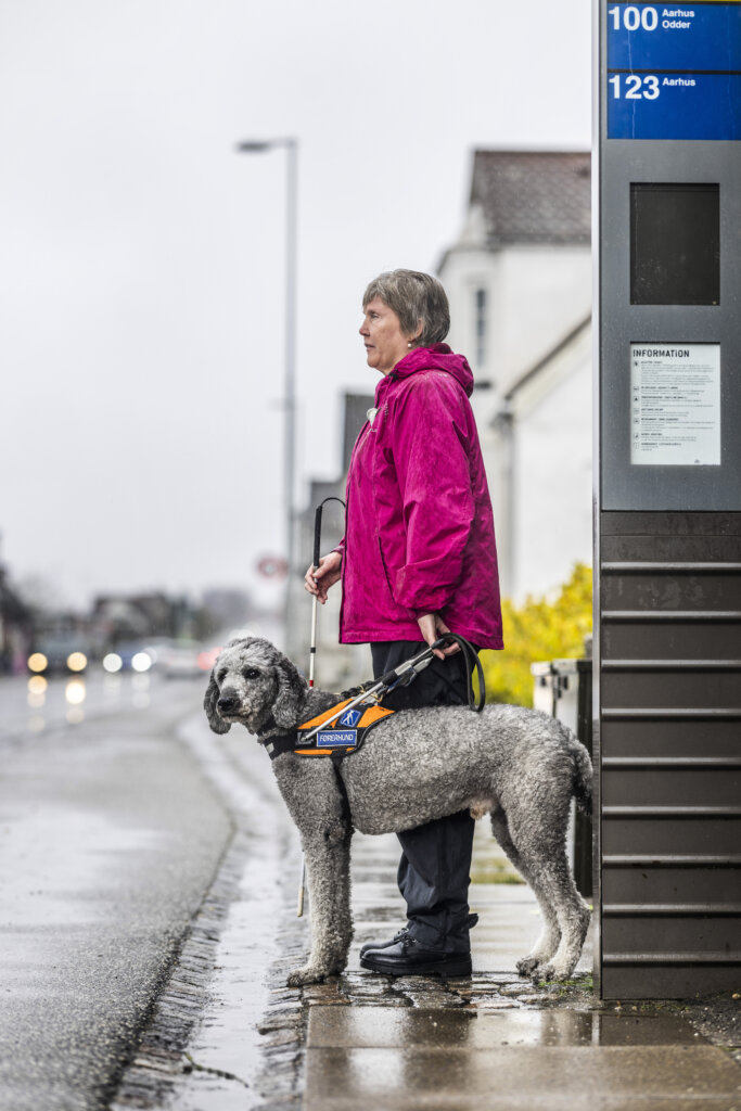 Anja venter ved busstoppestedet med førerhunden Silver, en lysegrå storpuddel i førerhundebøjle