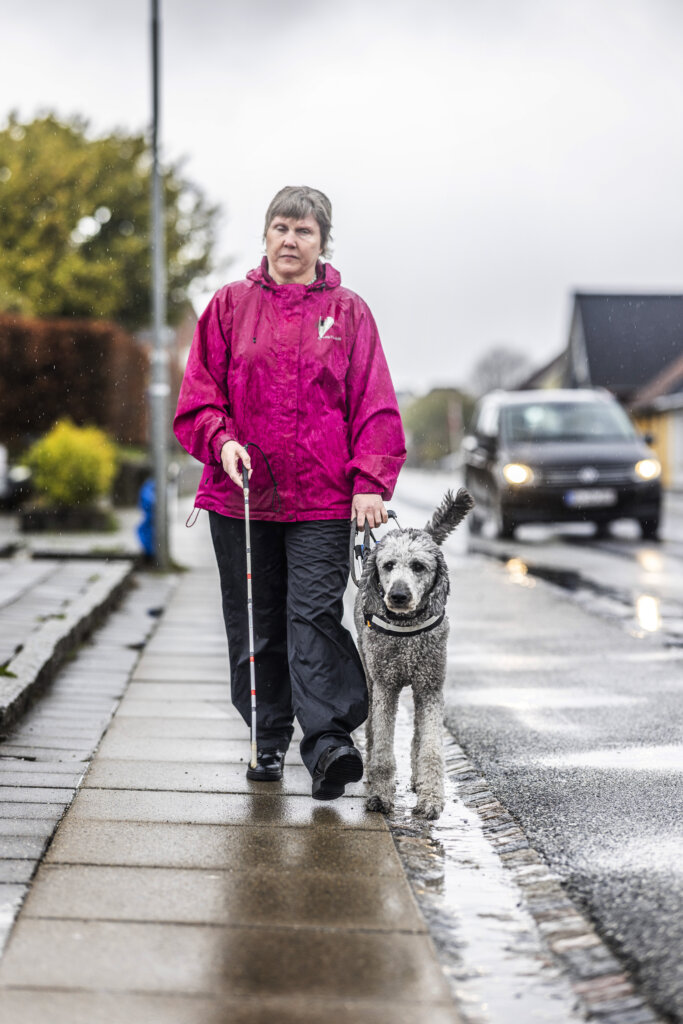 Anja går på fortovet med førerhunden Silver, en lysegrå storpuddel i førerhundebøjle