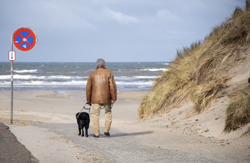 Man ser Hans Verner og førerhunden Siffi bagfra på vej ned til stranden. Siffi er en sort labrador iført førerhundebøjle