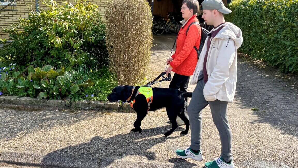 Morten følges med Lene og førerhunden Aston, sort labrador, på gåyur
