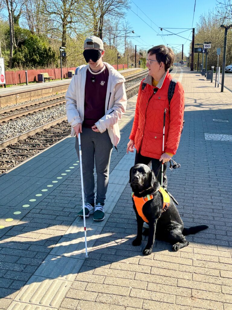 Morten har bind for øjnene og prøver at følge en ledelinje med en blindestok. Ved siden af står Lene og førerhunden Aston, en sort labrador