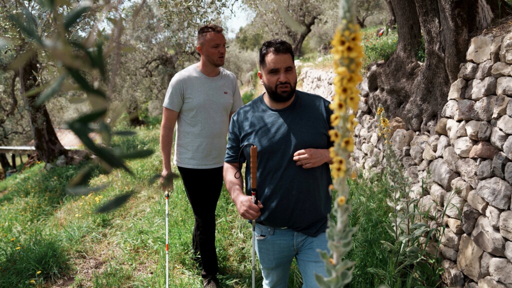 Mohammed og Edis udforsker olivenlunden. De g&aring;r langs et steng&aelig;rde