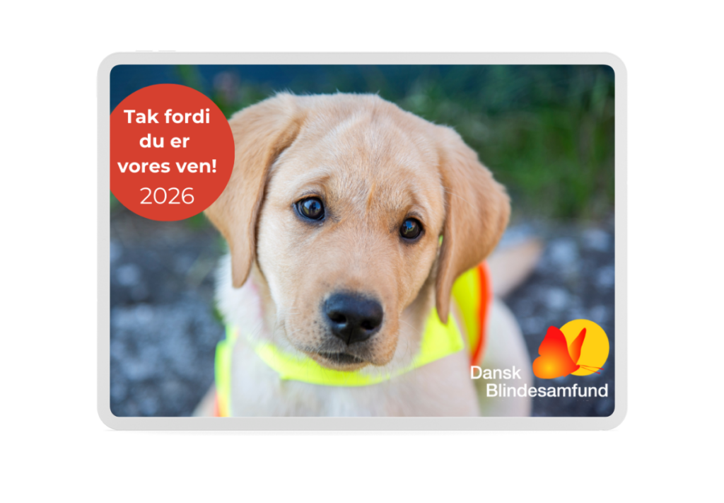 Billedet viser årets magnet for 2026