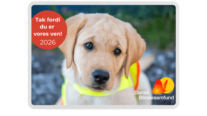 Billedet viser årets magnet for 2026